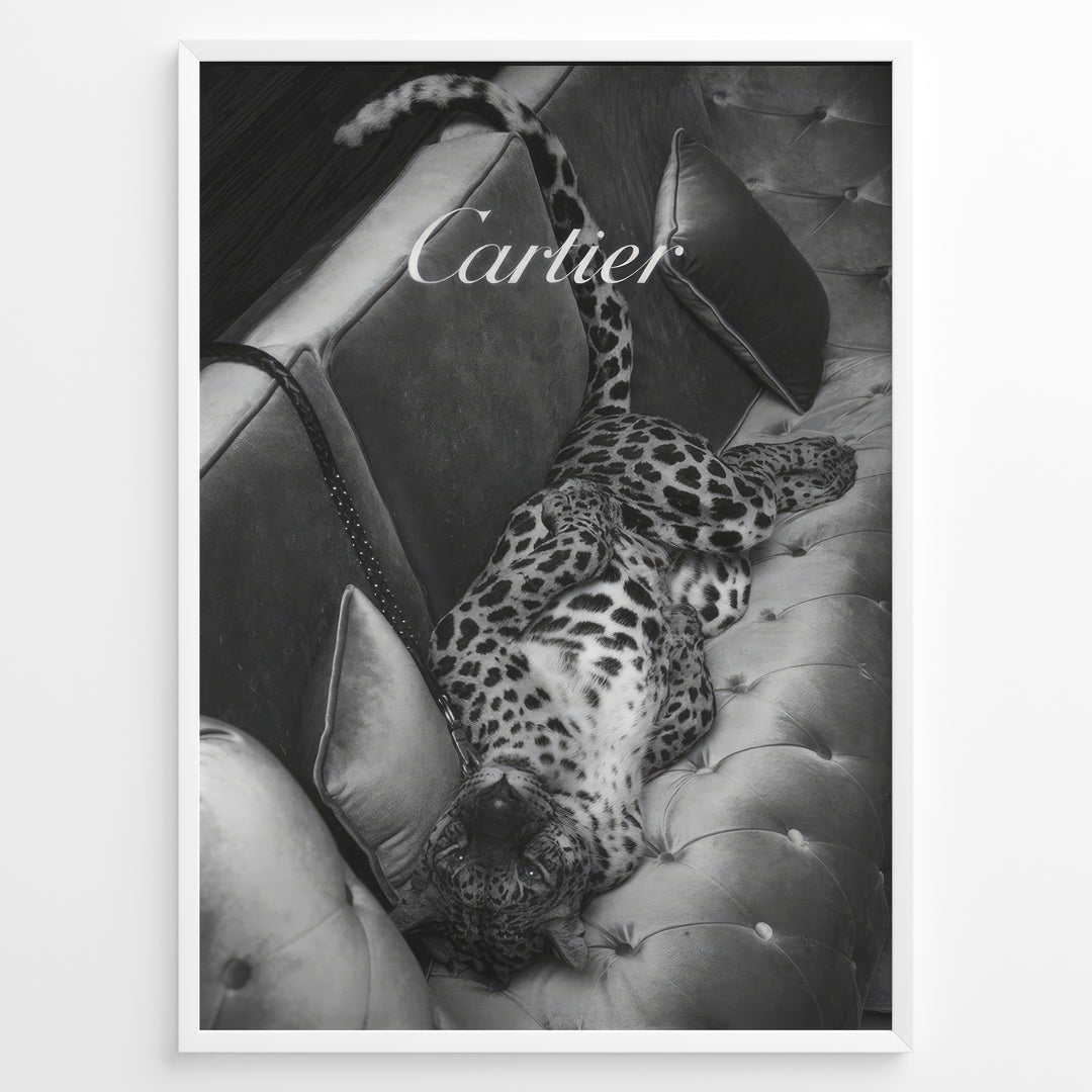 Fashion Plakat | Luxurious Cartier-Inspired Art Featuring Leopard on Velvet Sofa Plakaty.dk | Black-and-white image of a leopard lying on its back on a tufted velvet sofa, with the word "Cartier" elegantly overlaid at the top.