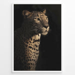 Load image into Gallery viewer, Fashion Plakat | Majestic Leopard in Shadow and Light Plakaty.dk | Portrait of a leopard in dramatic lighting, with half its face and body illuminated while the rest fades into shadow.
