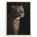 Load image into Gallery viewer, Fashion Plakat | Majestic Leopard in Shadow and Light Plakaty.dk | Portrait of a leopard in dramatic lighting, with half its face and body illuminated while the rest fades into shadow.
