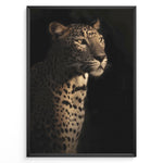 Load image into Gallery viewer, Fashion Plakat | Majestic Leopard in Shadow and Light Plakaty.dk | Portrait of a leopard in dramatic lighting, with half its face and body illuminated while the rest fades into shadow.
