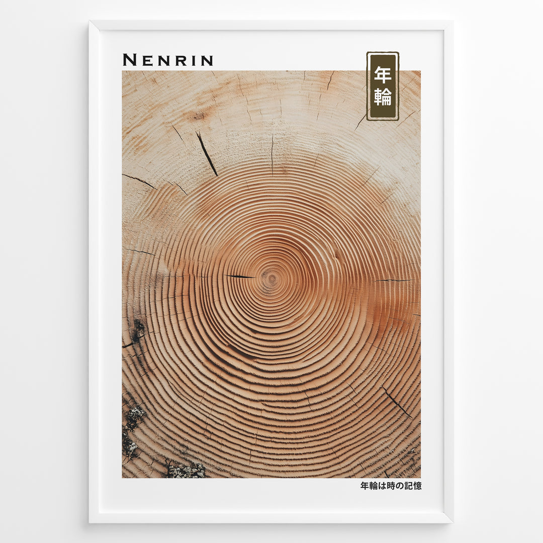 Japanske plakater | Japanese minimalist poster showing detailed concentric tree rings, representing the passage of time and growth.
