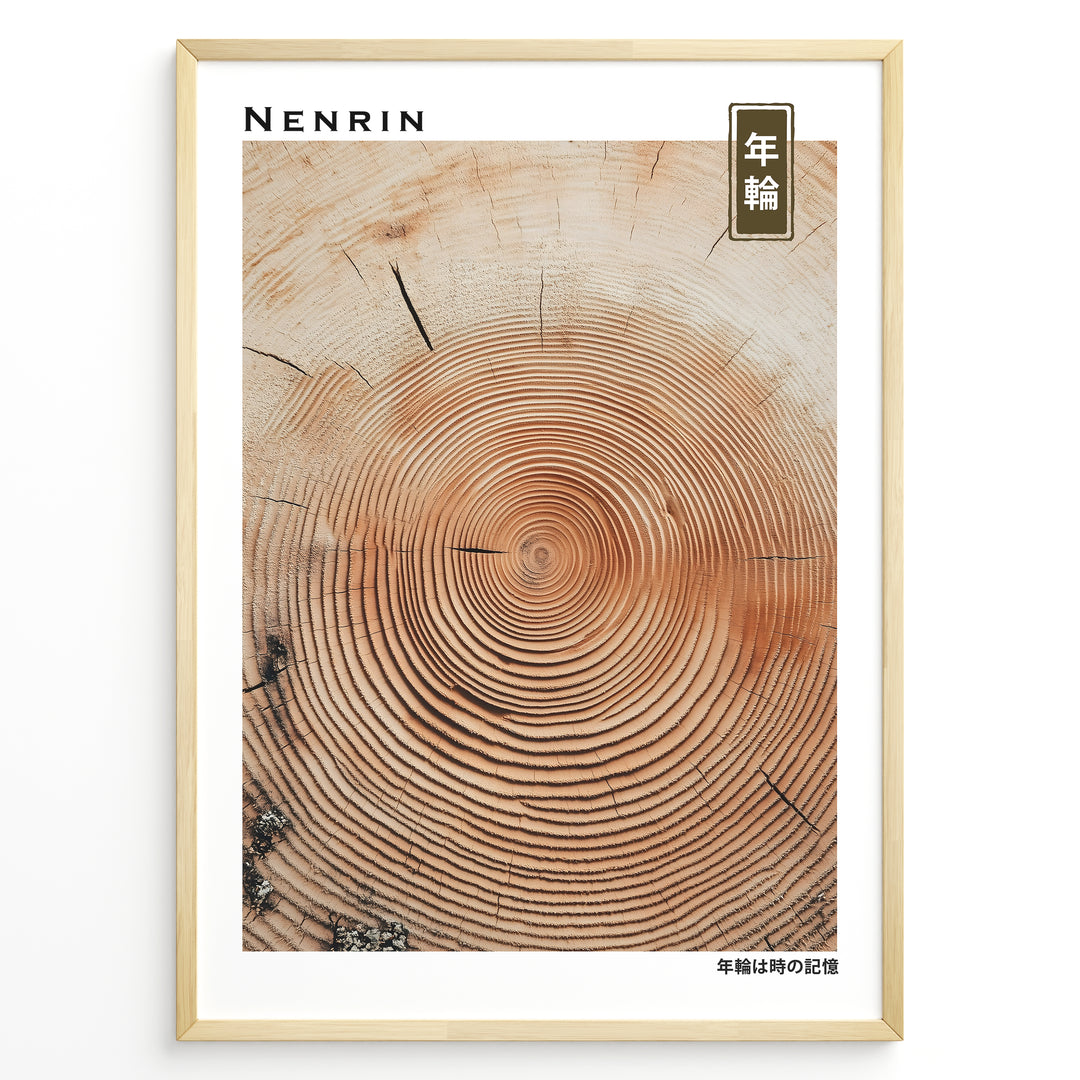 Japanske plakater | Japanese minimalist poster showing detailed concentric tree rings, representing the passage of time and growth.