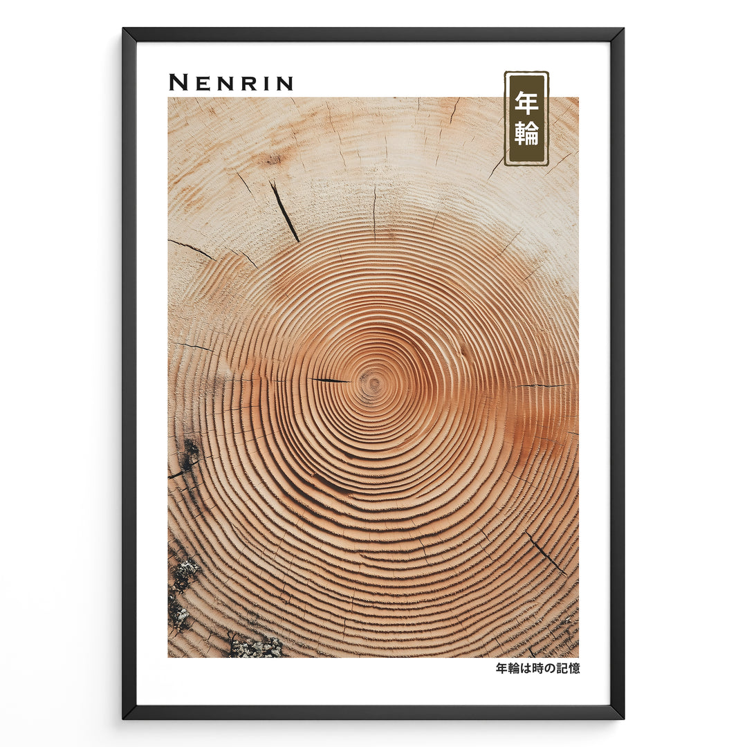 Japanske plakater | Japanese minimalist poster showing detailed concentric tree rings, representing the passage of time and growth.
