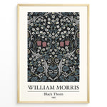 Load image into Gallery viewer, Framed William Morris Black Thorn 1892 art print plakat with detailed white and red flowers and blue-green leaves on a black background.
